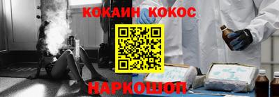 спайс Кингисепп