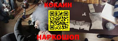 спайс Кингисепп