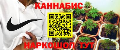 спайс Кингисепп