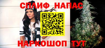 спайс Кингисепп