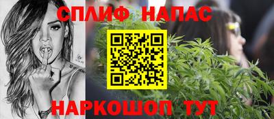 спайс Кингисепп