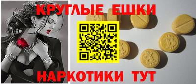 спайс Кингисепп