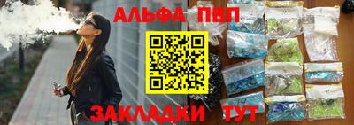 спайс Кингисепп
