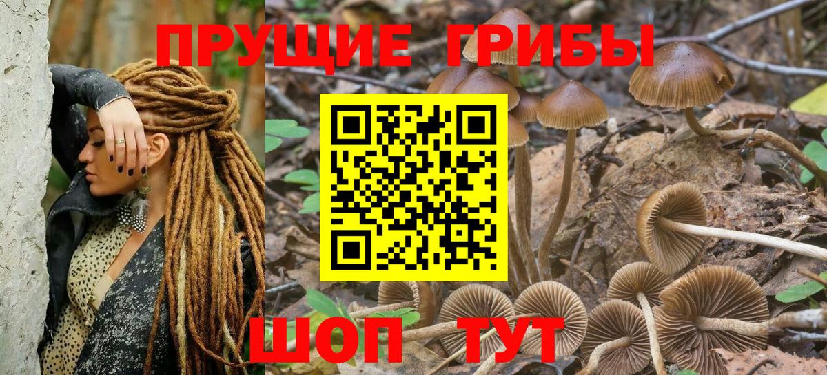 Галлюциногенные грибы прущие грибы Саки